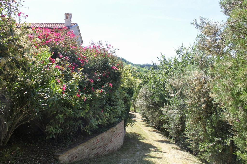 Villa Melagrana Fano Exteriör bild
