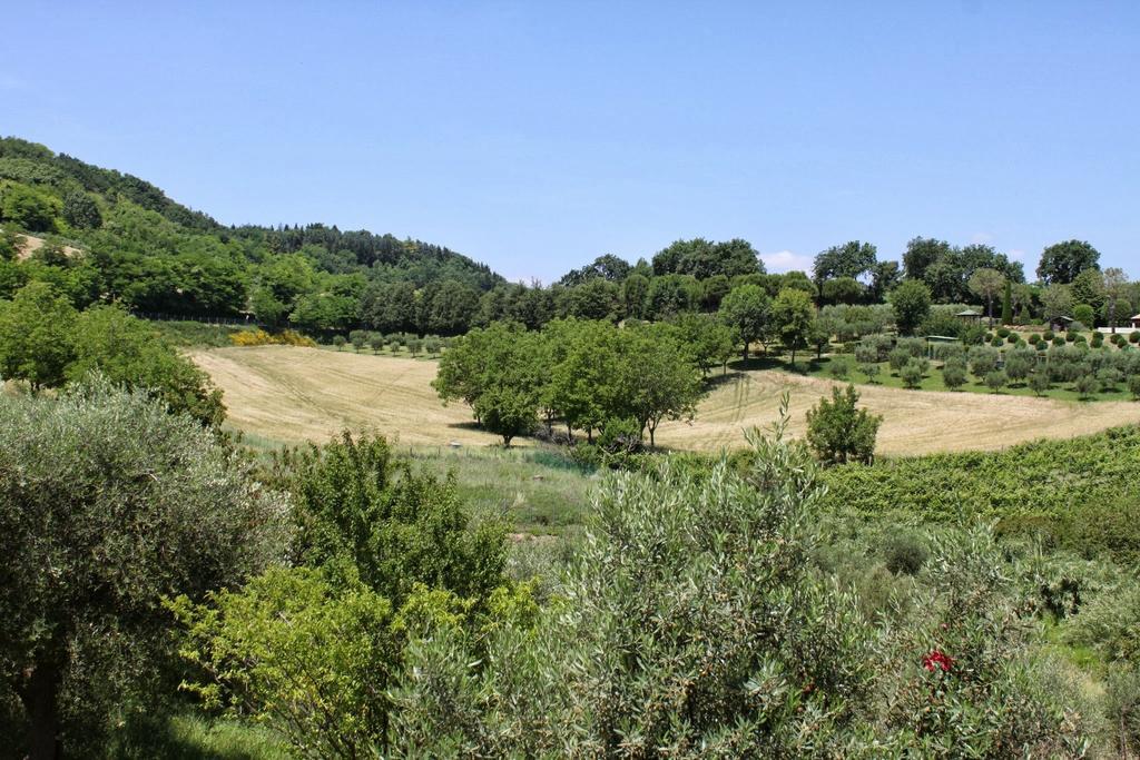 Villa Melagrana Fano Rum bild