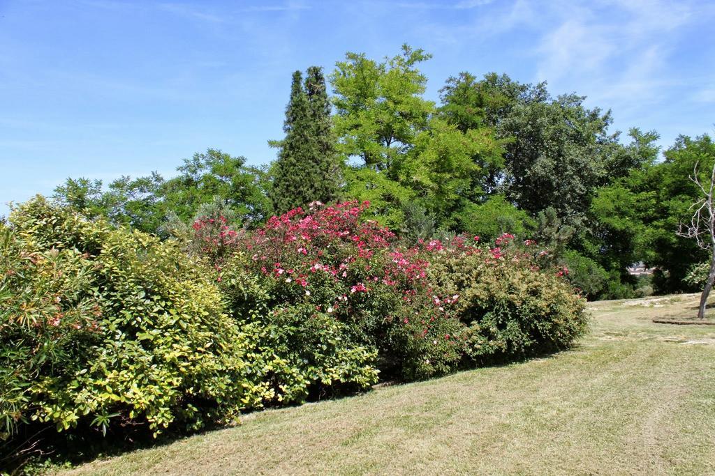 Villa Melagrana Fano Rum bild